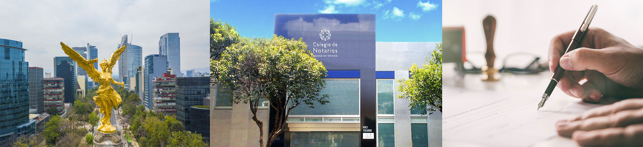 El Notariado Internacional